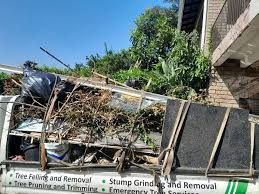 Best Carpet Removal and Disposal  in Munising, MI